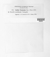 Image Associated With the Occurence